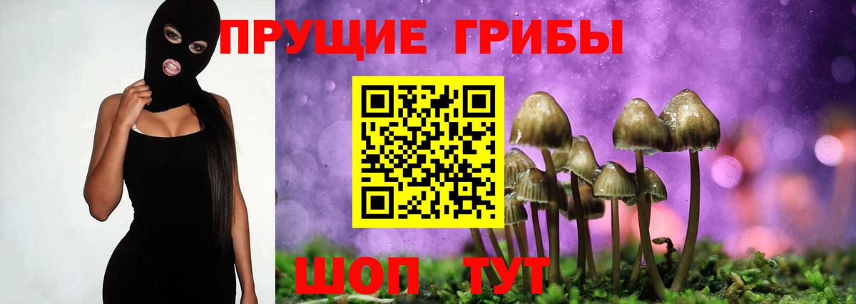 Галлюциногенные грибы MAGIC MUSHROOMS  Вход с VPN  Фрязино 